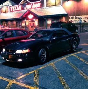 Meet your Posher, Trevor